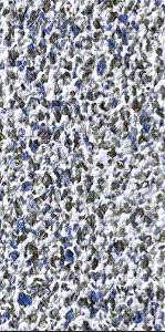 Tara Gray Astoria All Floor 27 Mil Liner